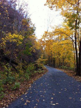 Along the course of the Delaware & Lehigh Heritage Half Marathon, 2013