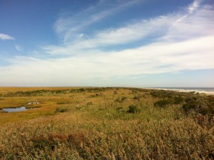 Looking north from Brigantine