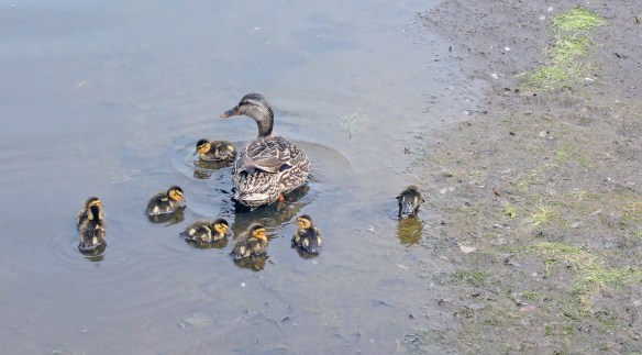 Photo by Chris M. Junior