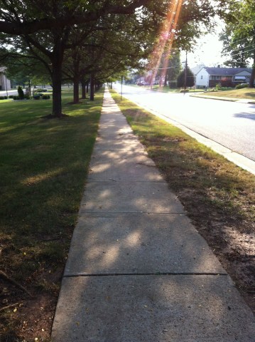 A shady stretch on this morning's walk