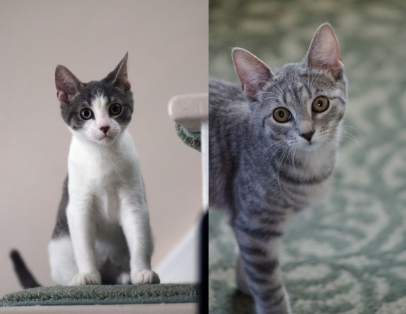 Milo and Carly 2_Sept. 24, 2015