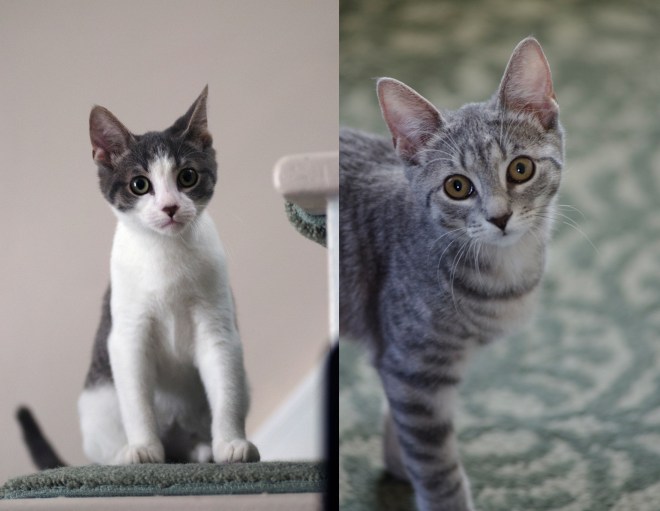 Milo and Carly 2_Sept. 24, 2015