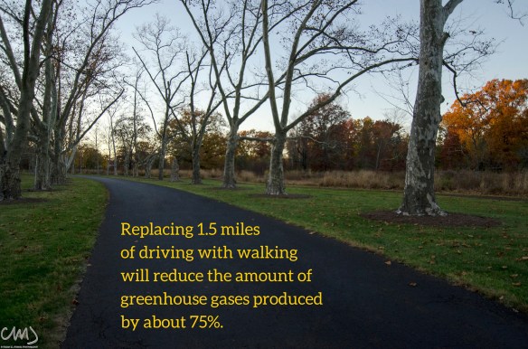 Driving and greenhouse gases