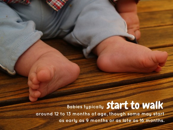 Babies typically around 12 to 13 months of age, though some may start as early as 9 months or as late as 16 months.