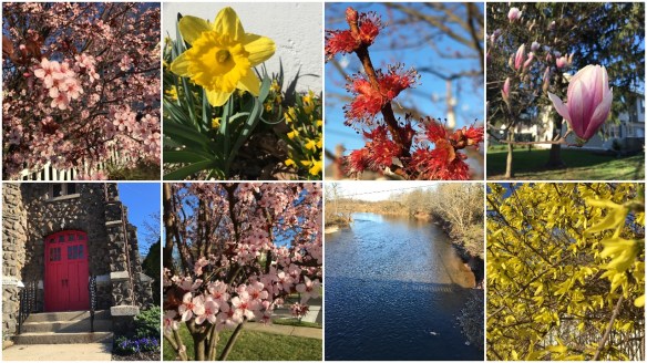Spring collage