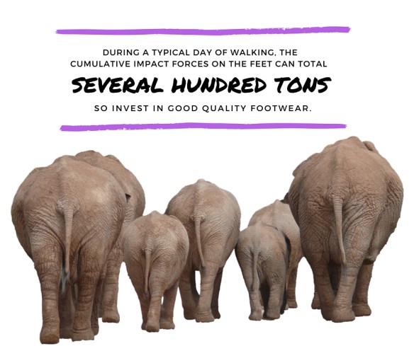 During a typical walk the cumulative impact forces