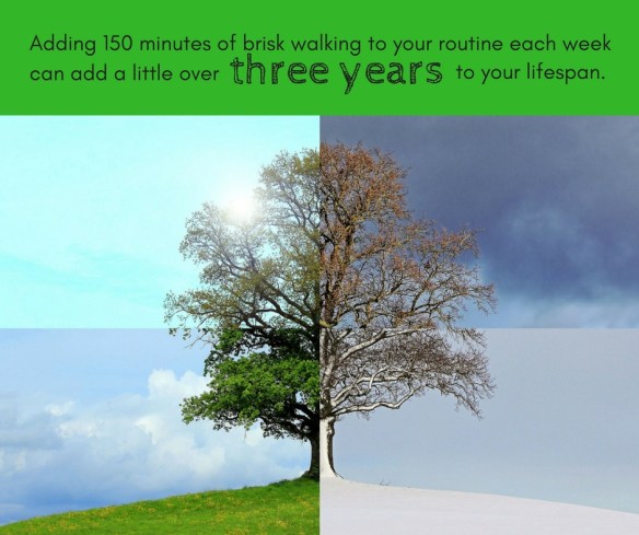 adding-150-minutes-of-brisk-walking-to-your-routine-each-week-can-add-a-little-over